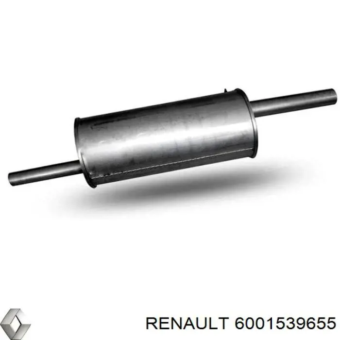  6001539655 Renault (RVI)