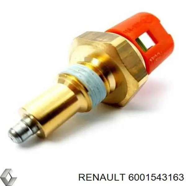  6001543163 Renault (RVI)