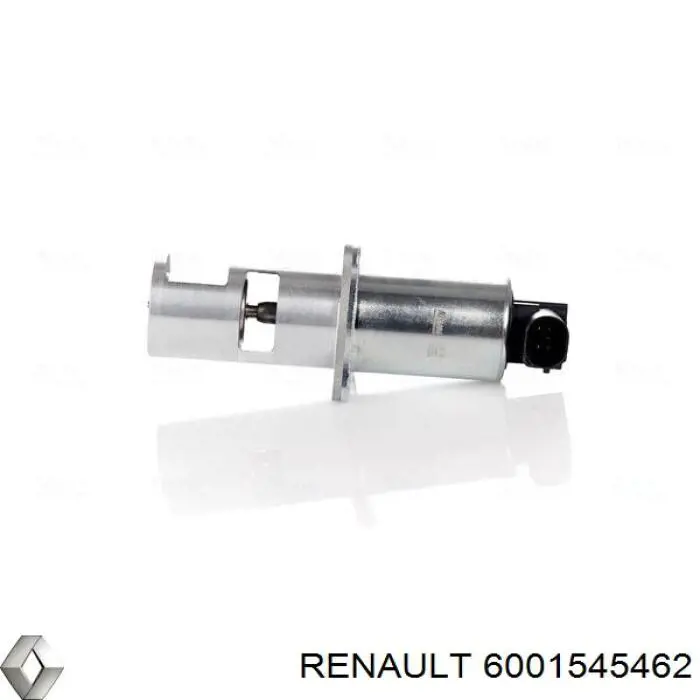  6001545462 Renault (RVI)