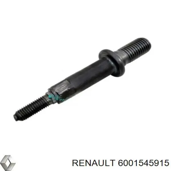 6001545915 Renault (RVI) Молдинг передньої правої двері