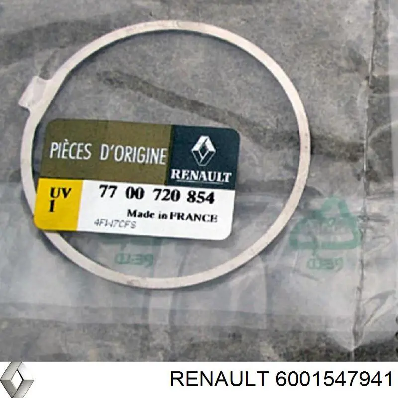 6001547941 Renault (RVI) Підкрилок переднього крила, лівий