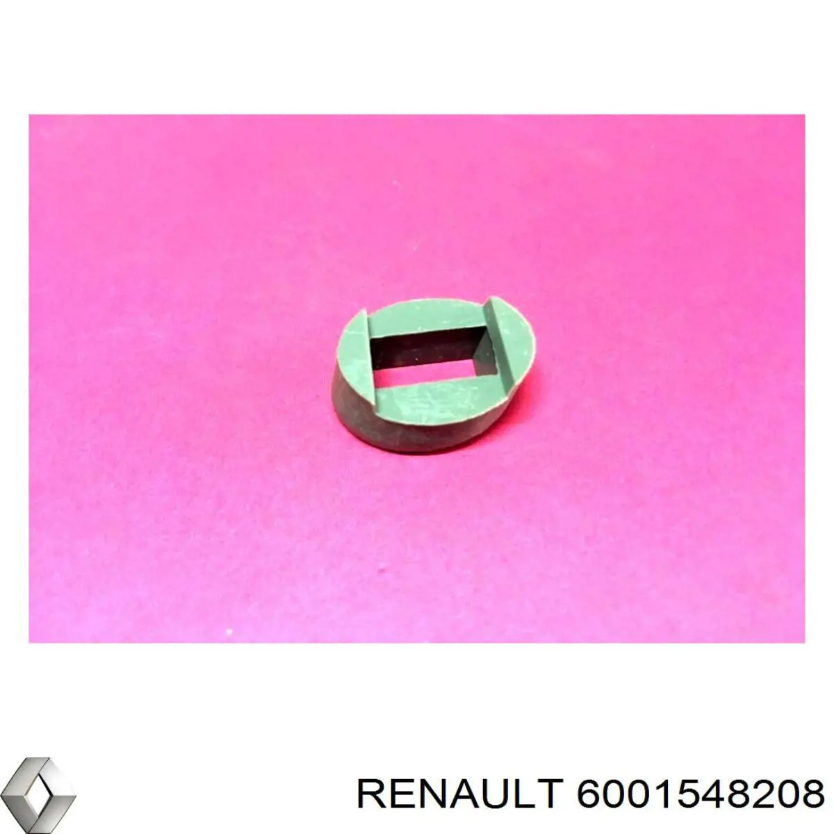  6001548208 Renault (RVI)