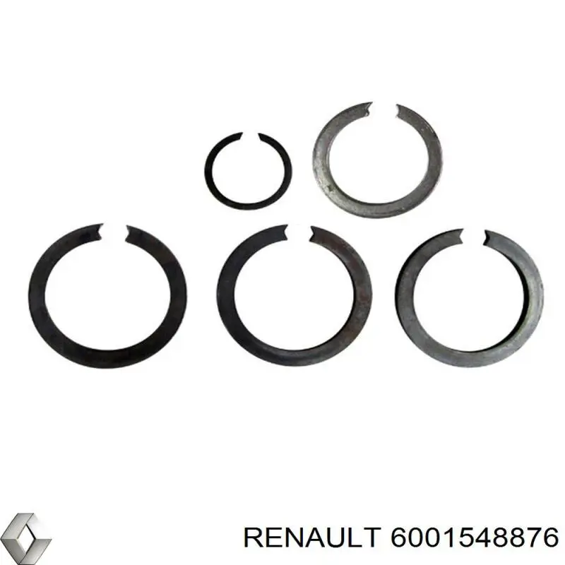 6001548876 Renault (RVI) 