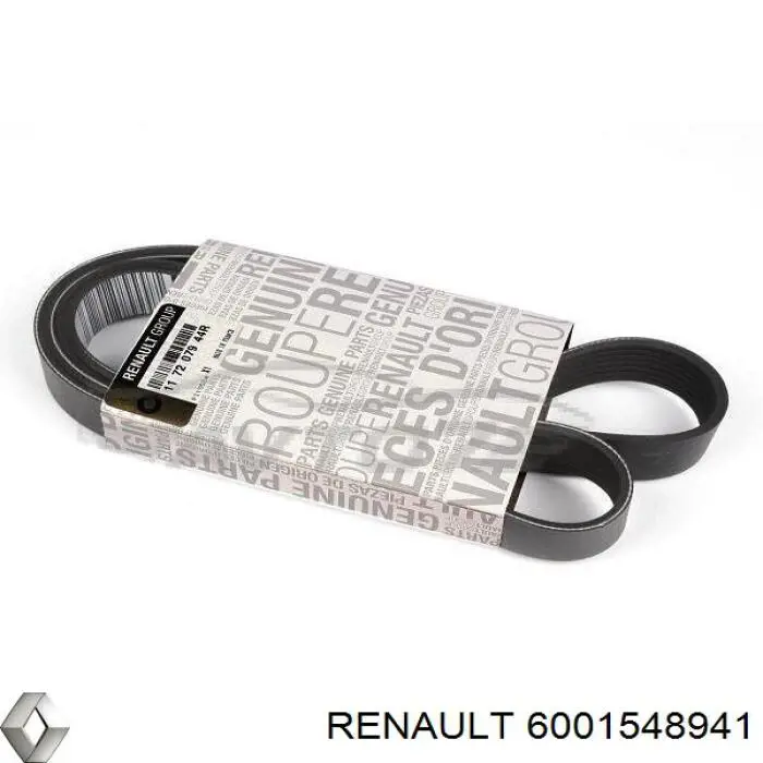Двері задні, праві Renault (RVI) 6001548941 ціна, від 88.68 USD
