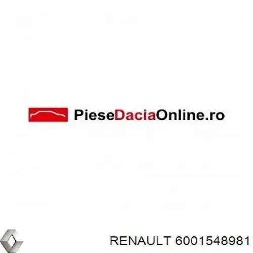Направляюча скла рамки двері, задньої правої Renault (RVI) 6001548981 ціна, від 6.33 USD