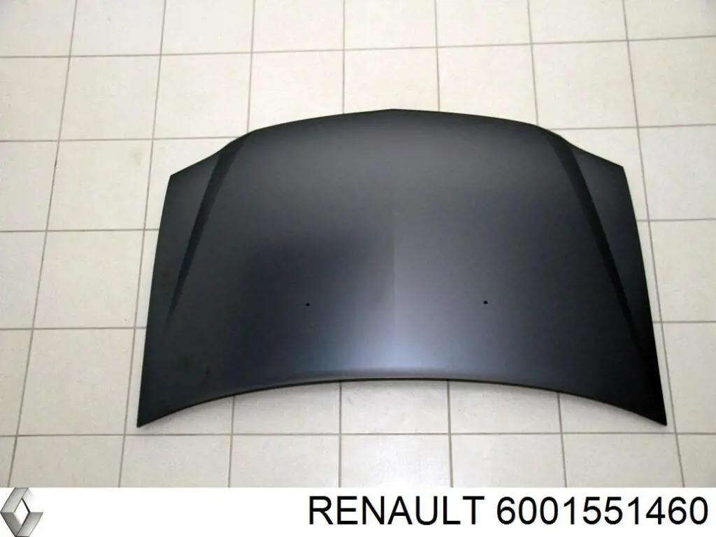  6001551460 Renault (RVI)