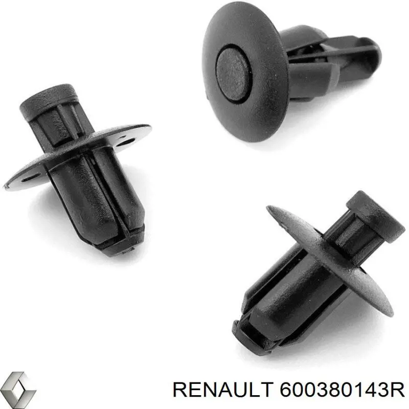  600380143R Renault (RVI)