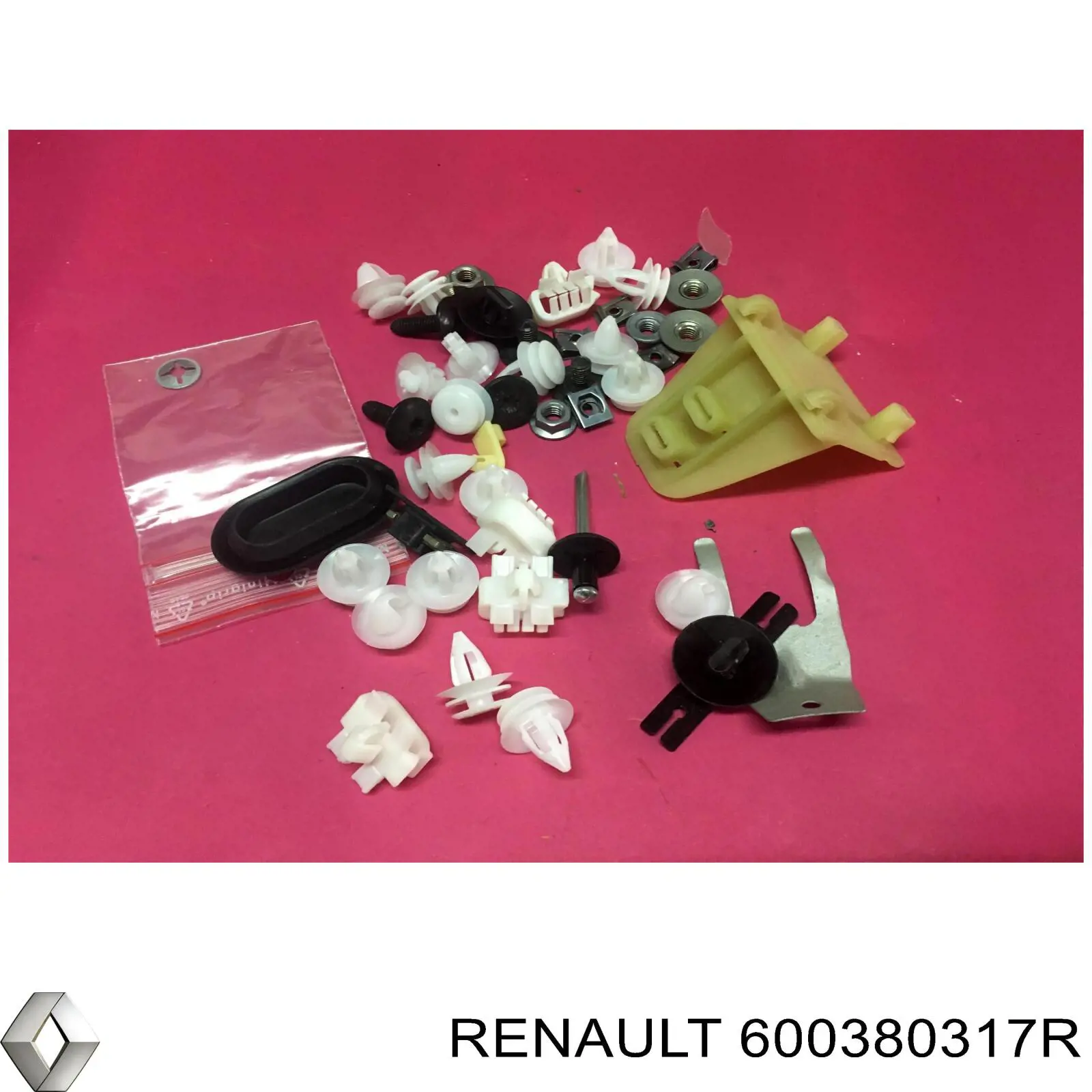 600380317R Renault (RVI) 