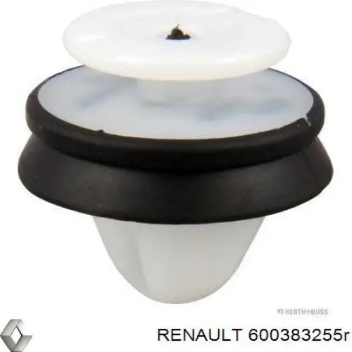  Renault (RVI) 600383255R