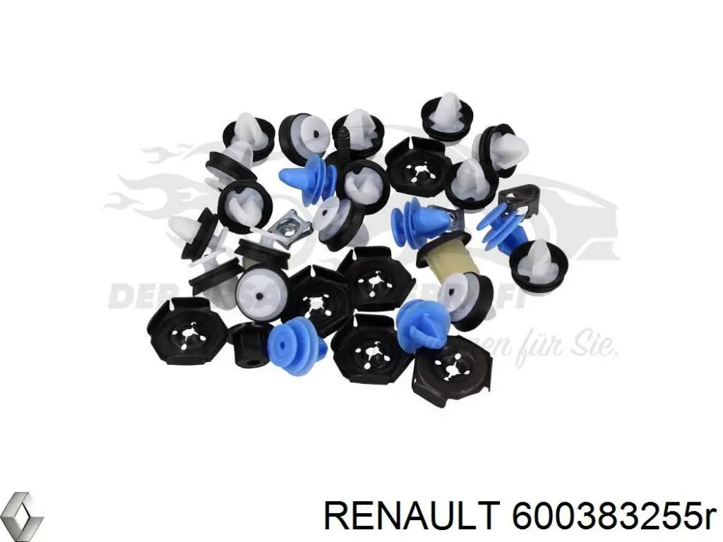 600383255R Renault (RVI) 