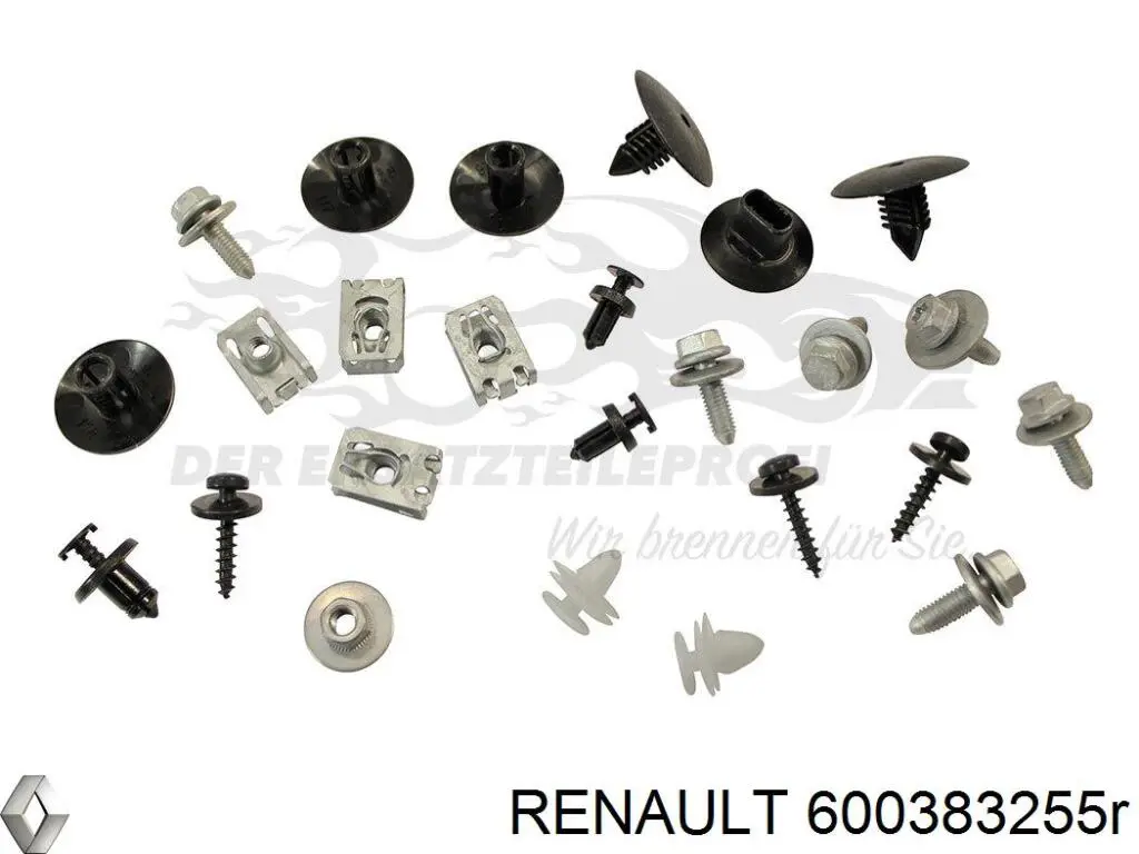 Купити 600383255R Renault (RVI) 