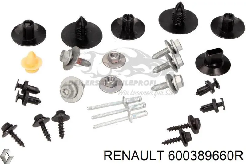 600389660R Renault (RVI) 