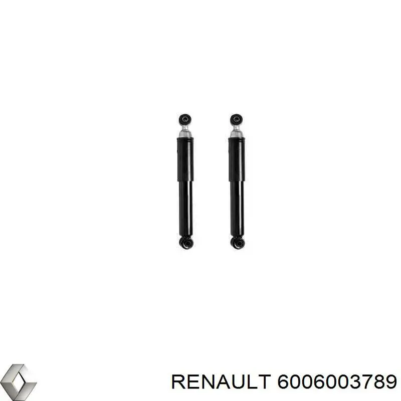 Амортизатор задній 6006003789 Renault (RVI)