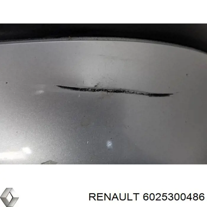 Купити 6025300486 Renault (RVI) Буфер (бампер) передній