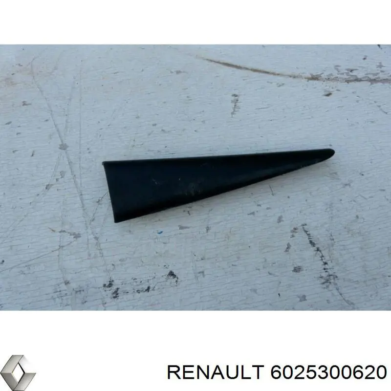 Купити 6025300620 Renault (RVI) 