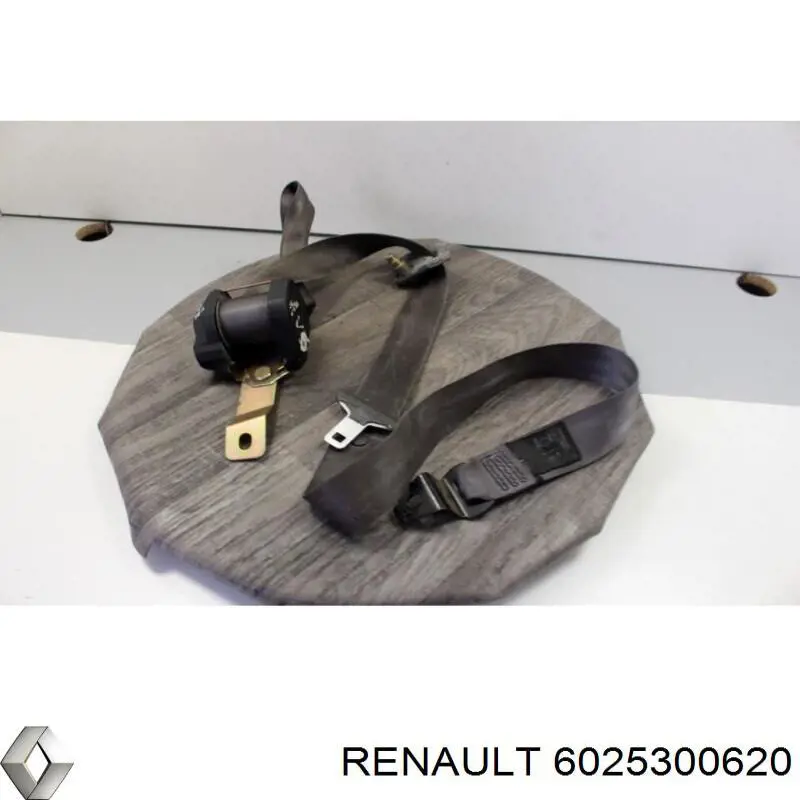  Renault (RVI) 6025300620 ціна, від 4.66 USD
