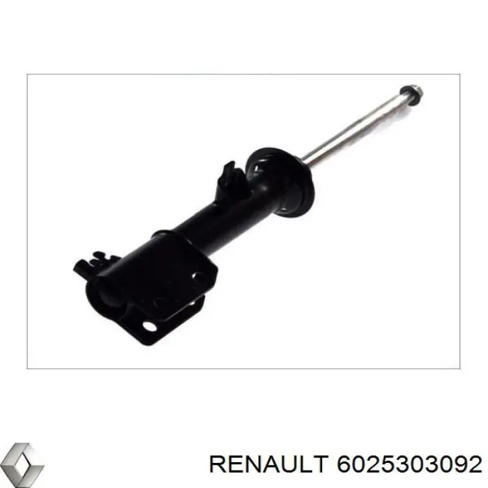 Амортизатор передній 6025303092 Renault (RVI)