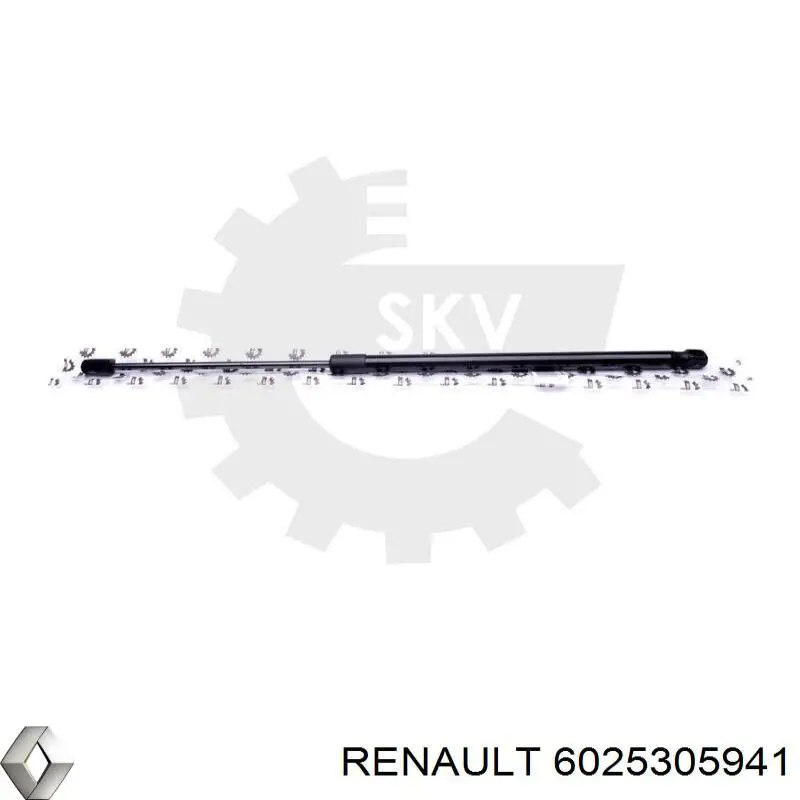 Амортизатор двері задньої Renault (RVI) 6025305941 ціна, від 13.98 USD