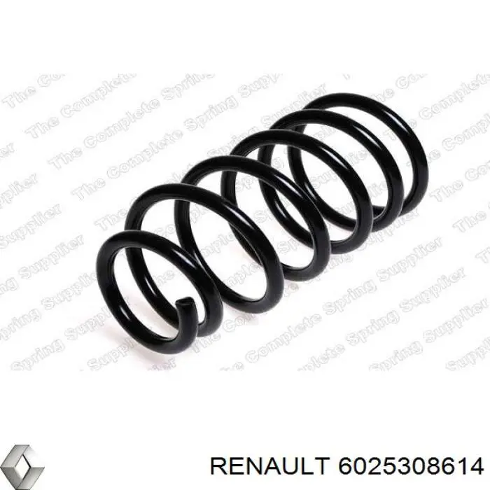 Купити 6025308614 Renault (RVI) Задні пружини