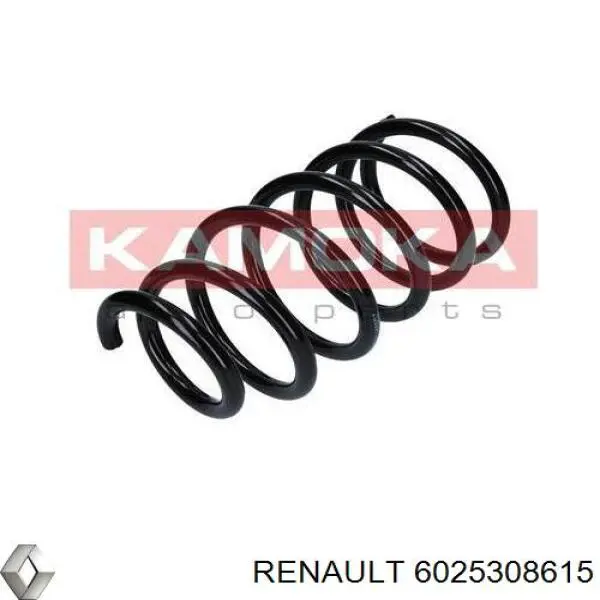 Задні пружини 6025308615 Renault (RVI)