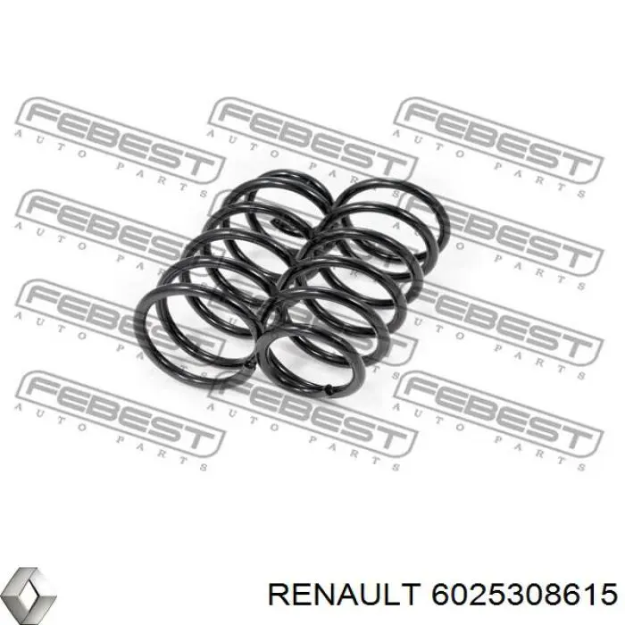 Купити 6025308615 Renault (RVI) Задні пружини