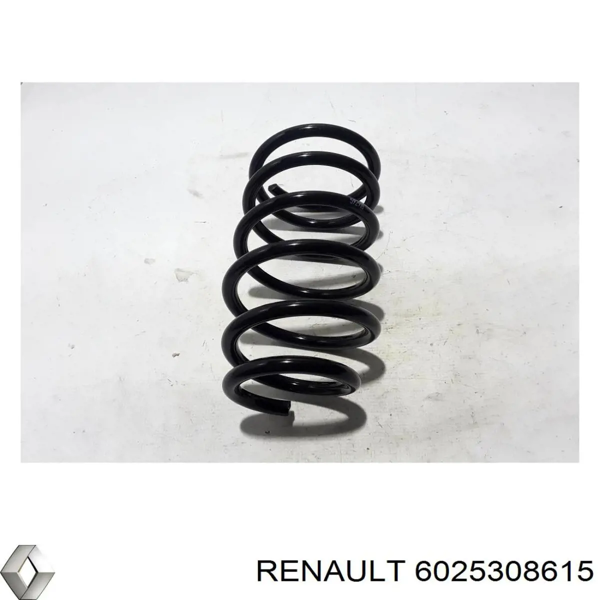 Пружина задня Renault (RVI) 6025308615 ціна, від 51.45 USD