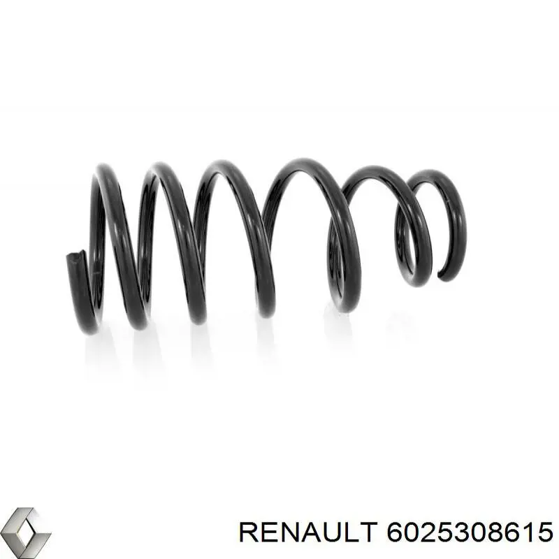 Пружини задні Renault (RVI) 6025308615