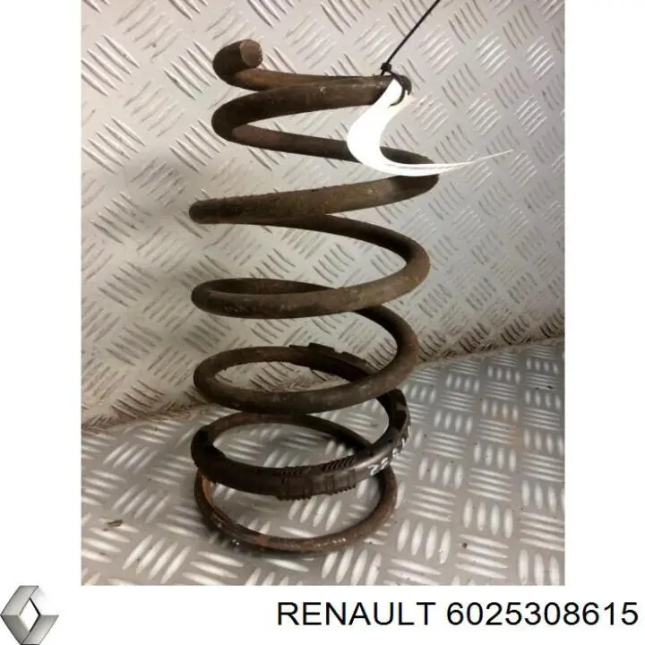 Пружина задня 6025308615 Renault (RVI)