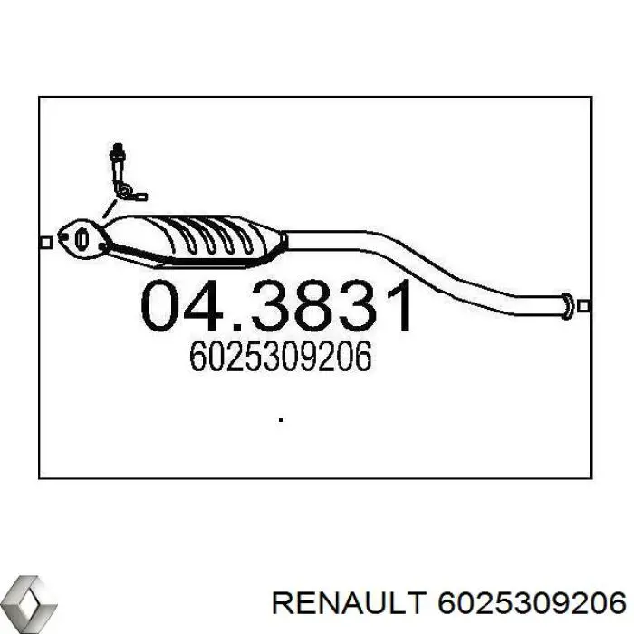 6025309206 Renault (RVI) Каталітичний нейтралізатор відпрацьованих газів