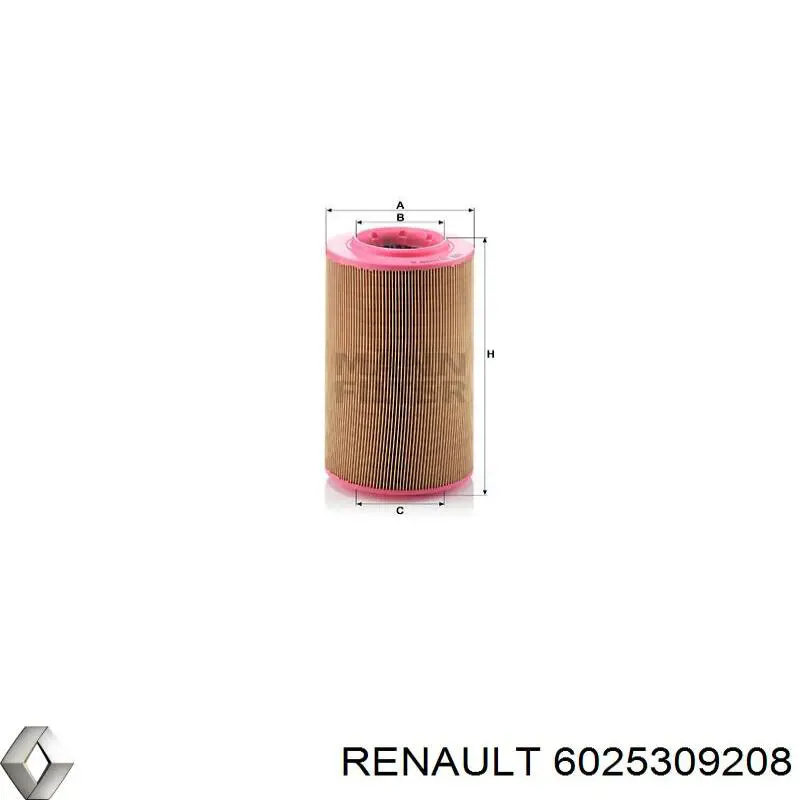  6025309208 Renault (RVI)