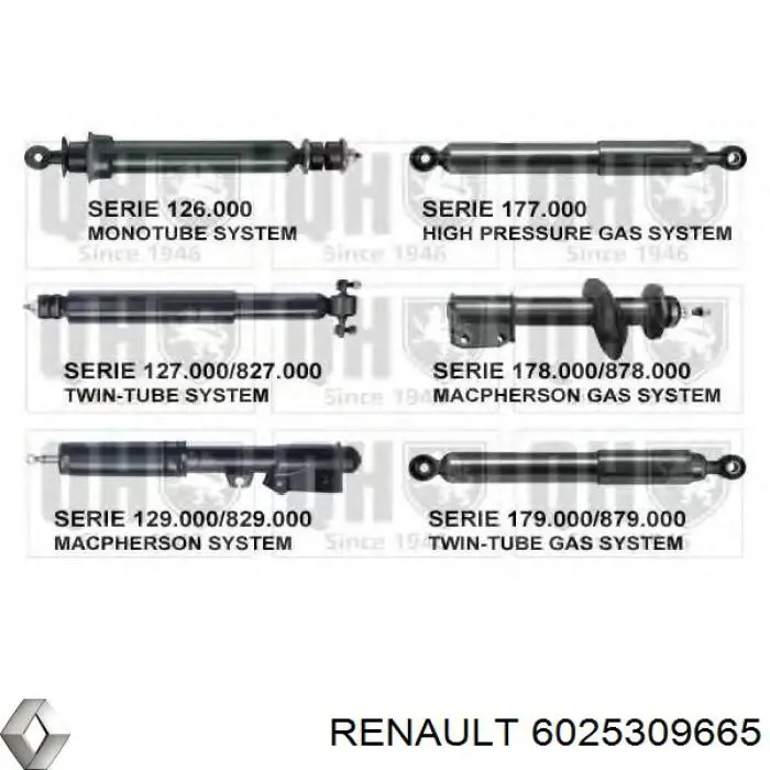 Амортизатори передні Renault (RVI) 6025309665