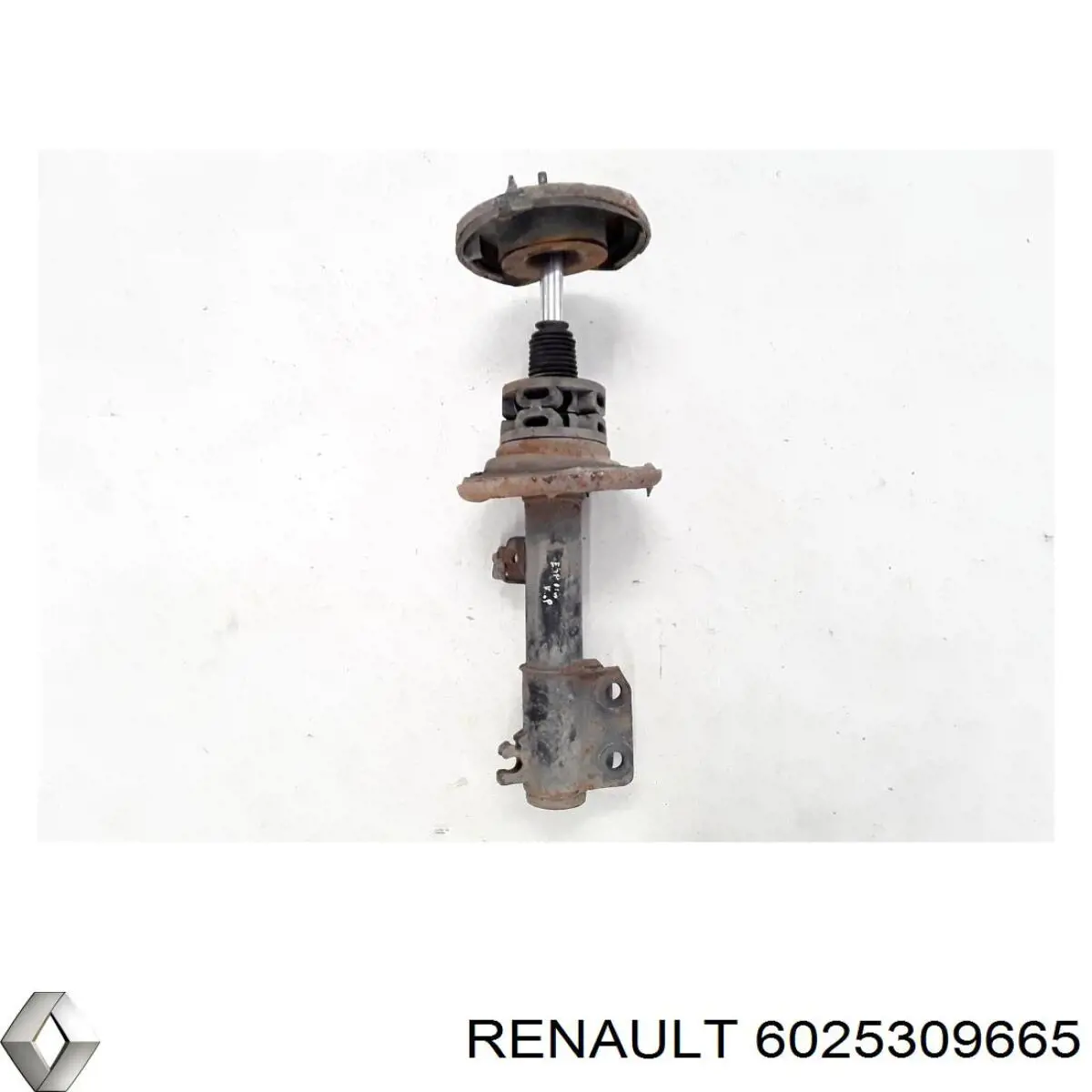 Амортизатор передній 6025309665 Renault (RVI)