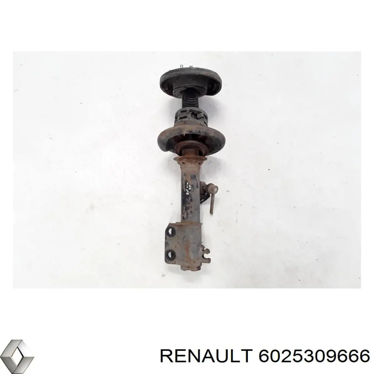 Амортизатор передній 6025309666 Renault (RVI)