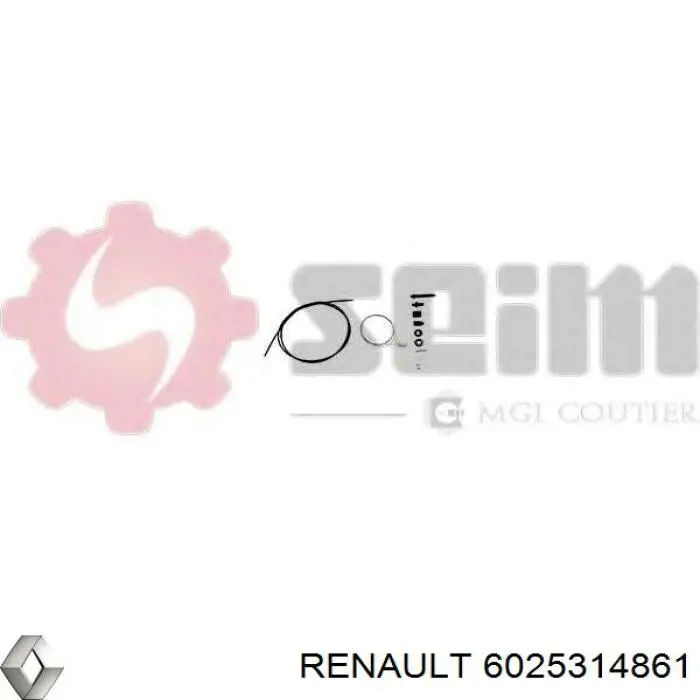  6025314861 Renault (RVI)