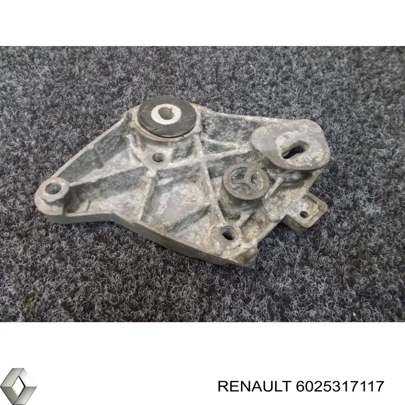 6025317117 Renault (RVI) 