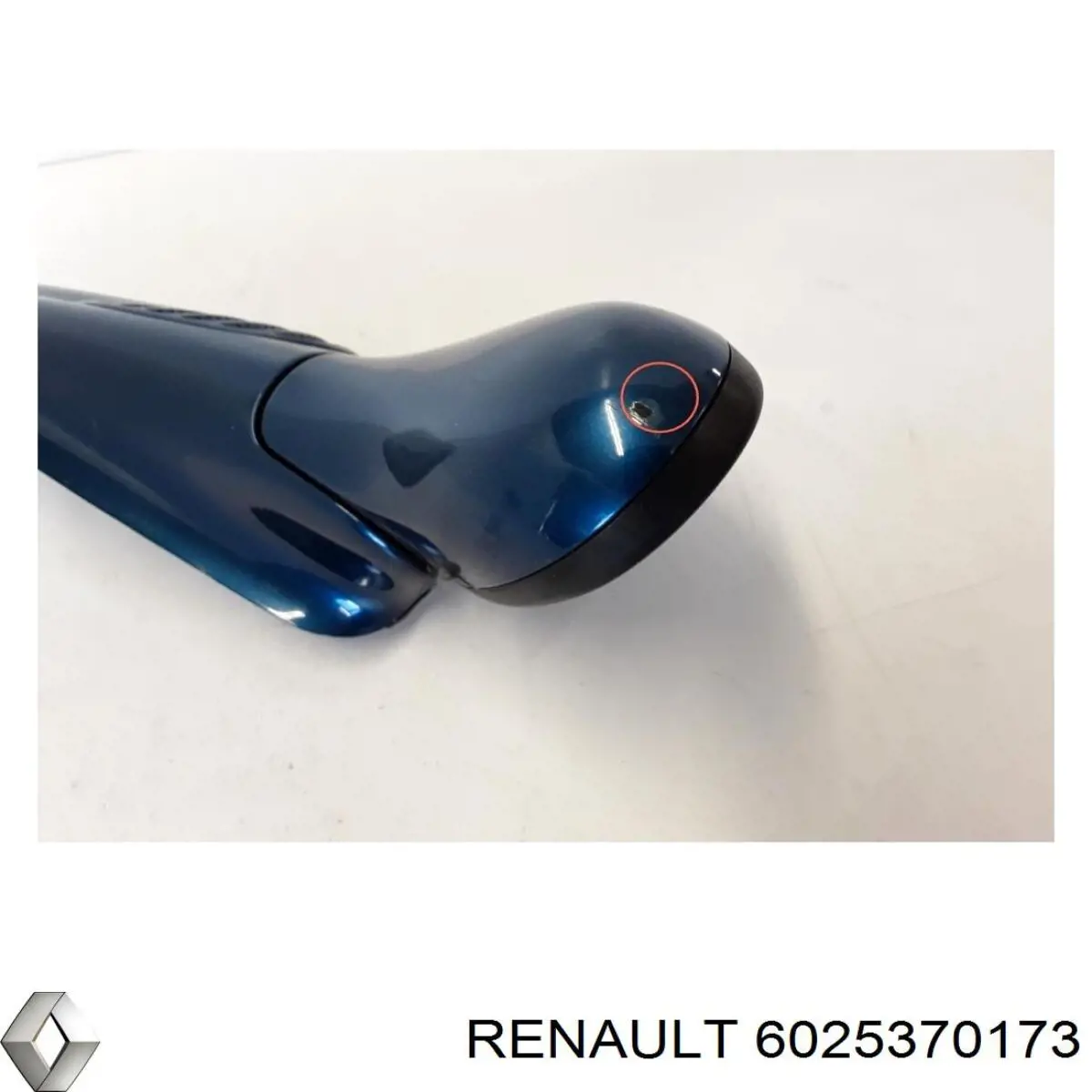 Ліве бокове дзеркало 6025370173 Renault (RVI)