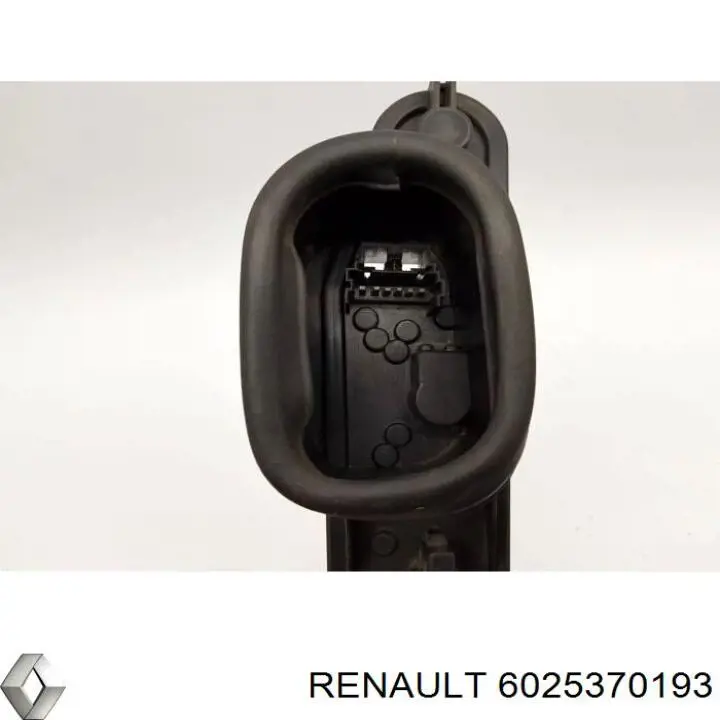  6025370193 Renault (RVI)