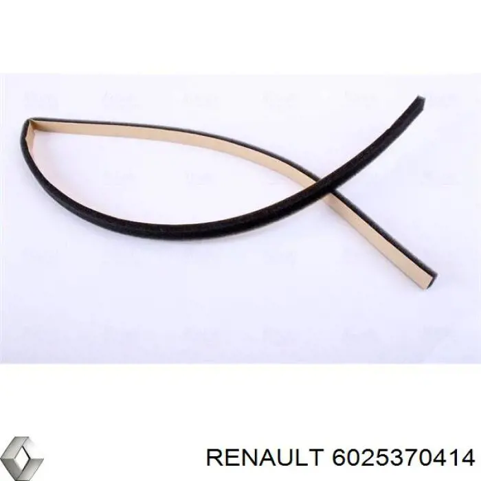Радіатор пічки 6025370414 Renault (RVI)