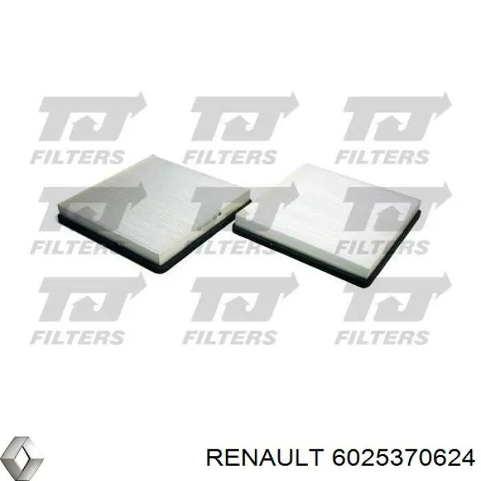 Купити 6025370624 Renault (RVI) Фільтр салону вугільний
