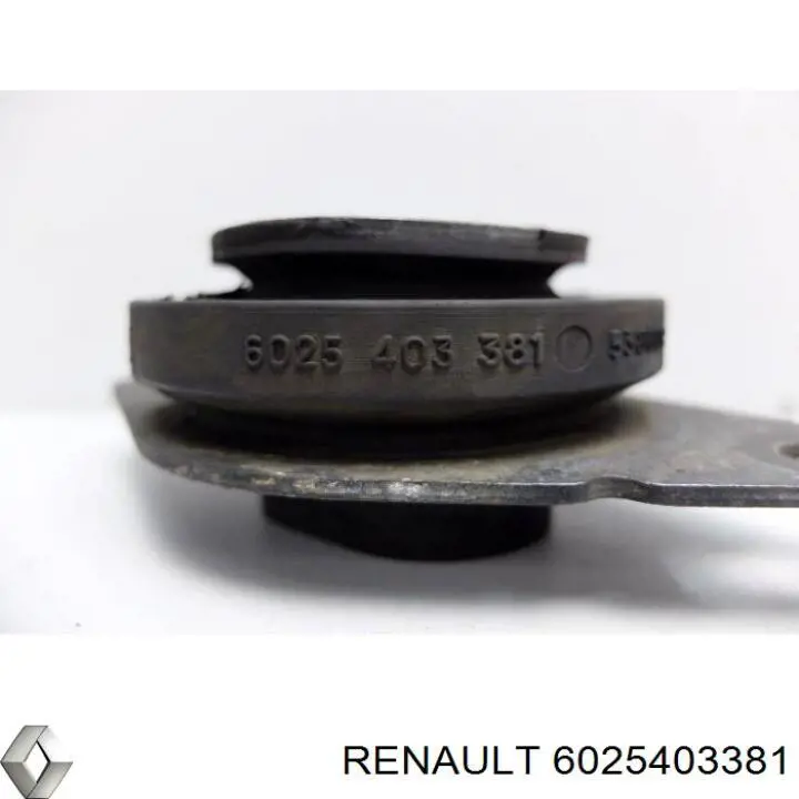  6025403381 Renault (RVI)