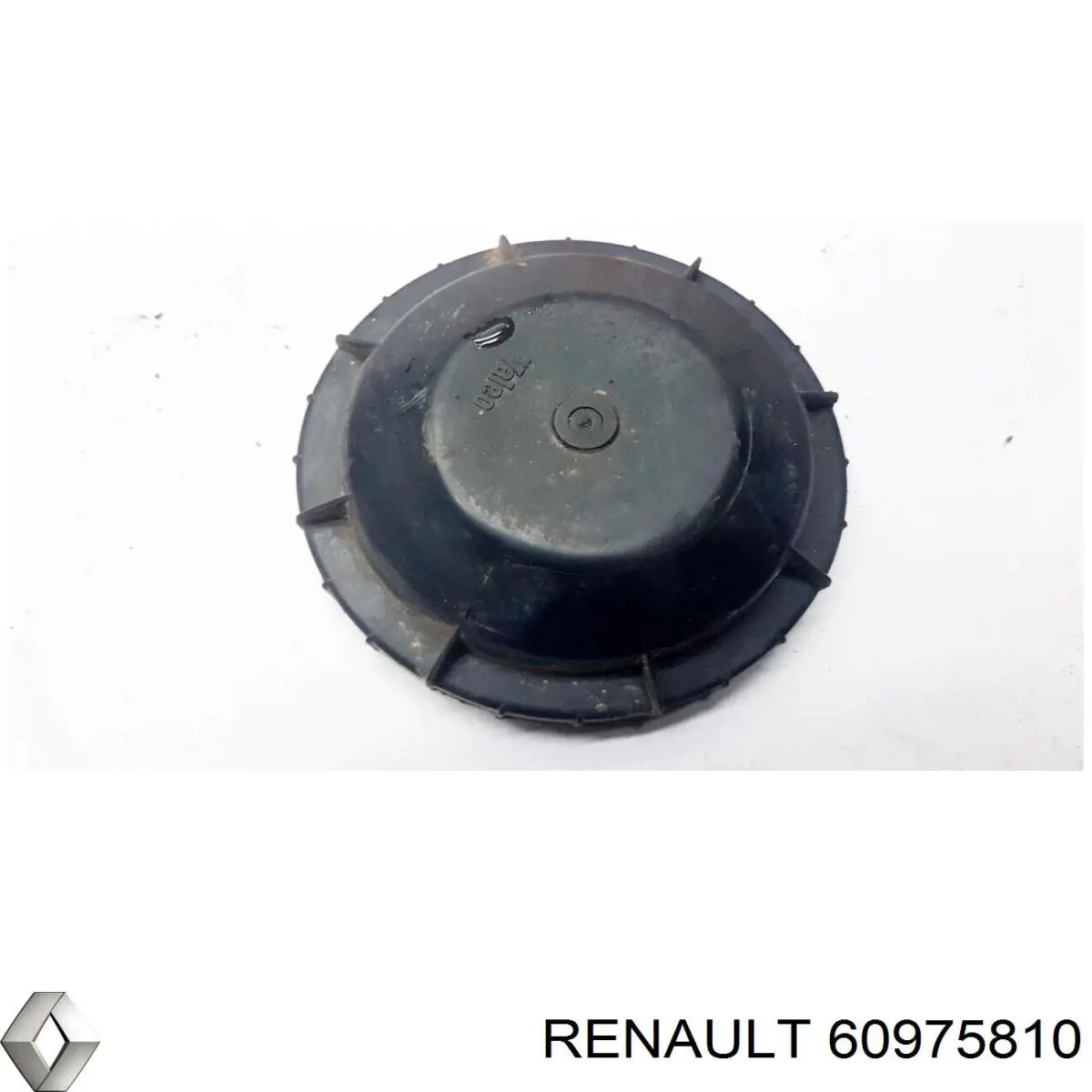  60975810 Renault (RVI)