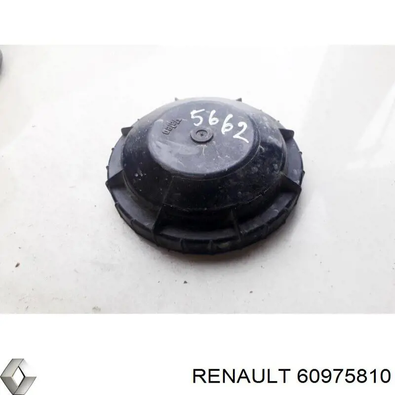 60975810 Renault (RVI) 