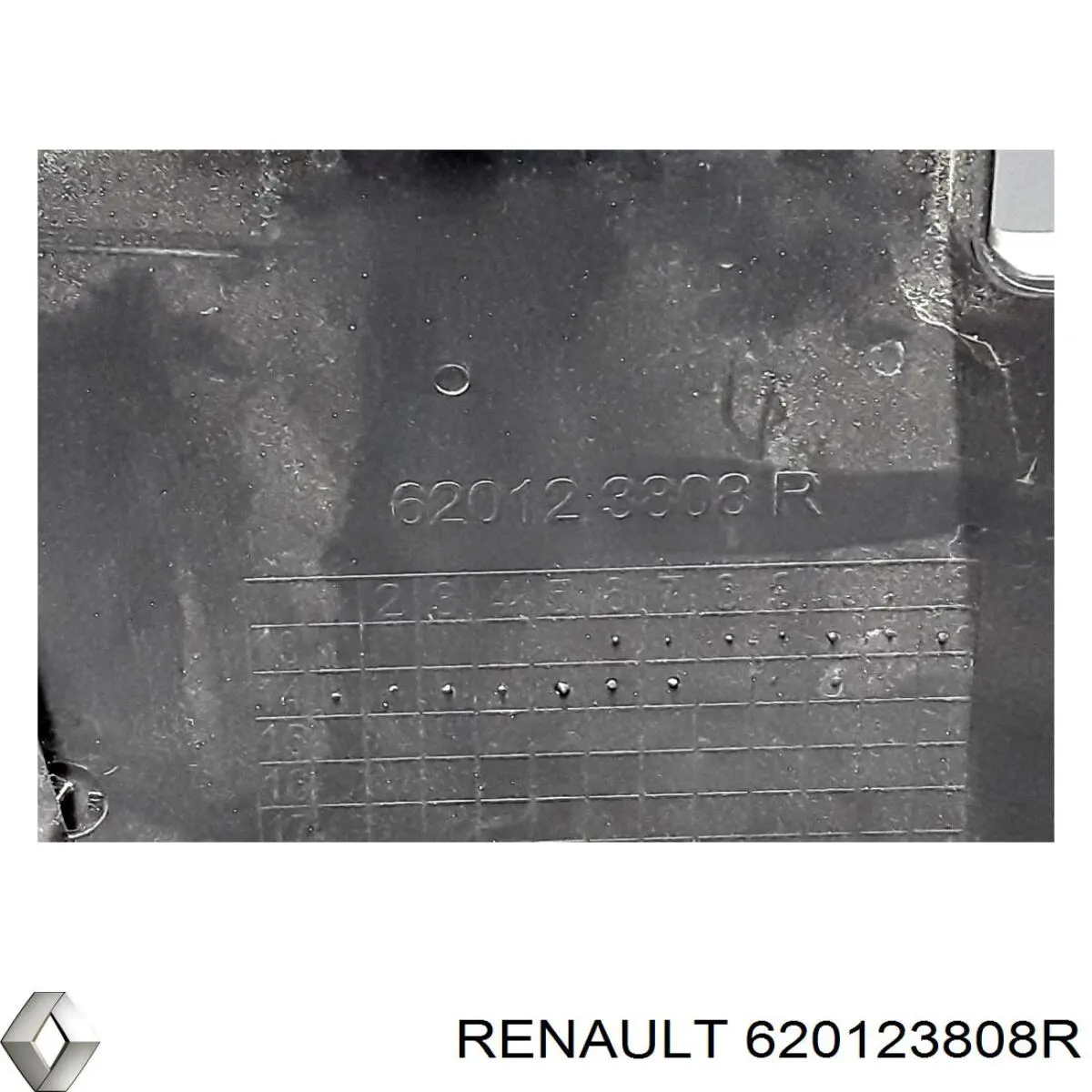 620123808R Renault (RVI) 