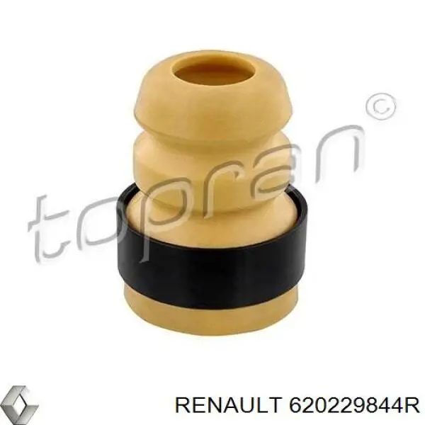 620229844R Renault (RVI) Бампер передній в зборі