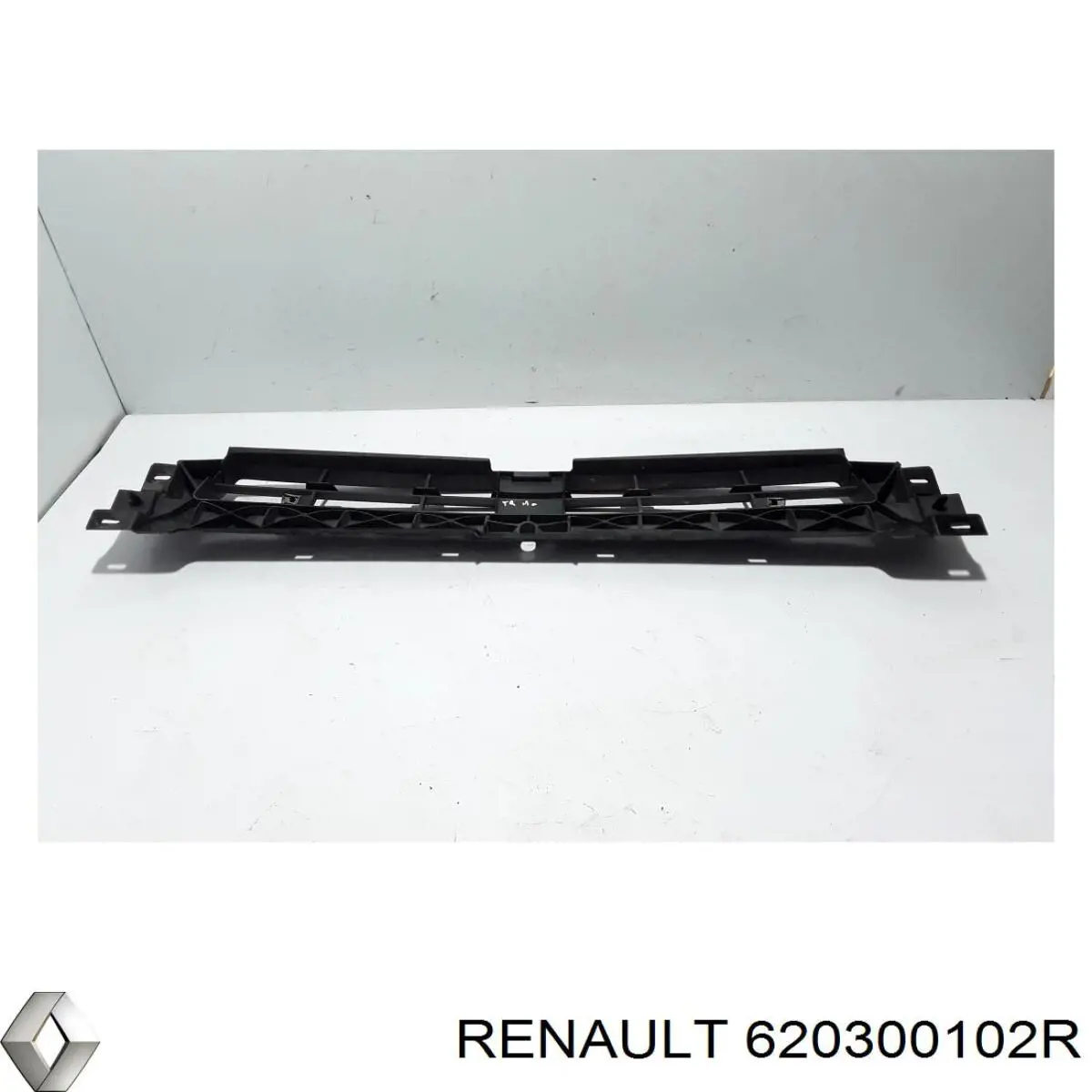 Купити 620300102R Renault (RVI) 