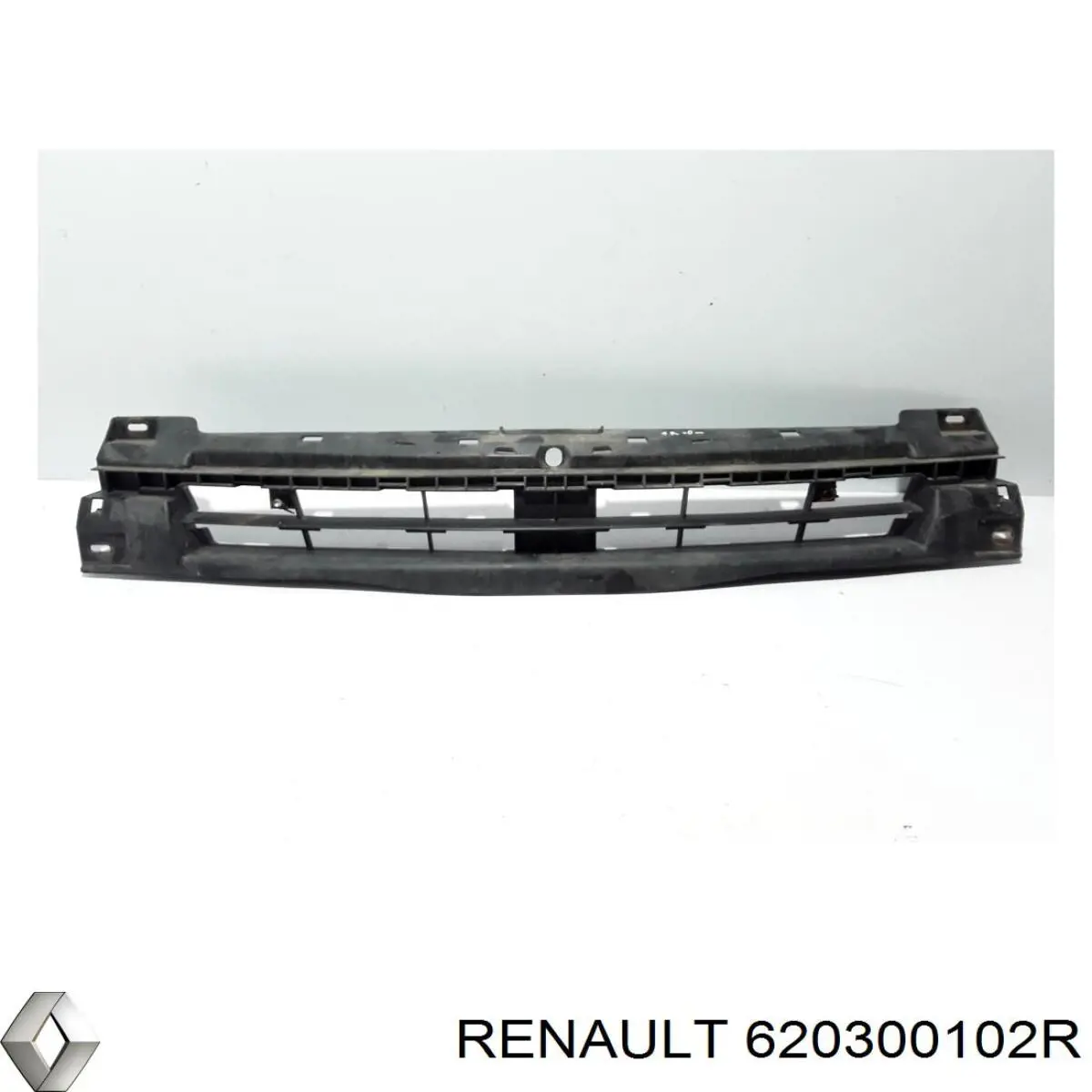  620300102R Renault (RVI)