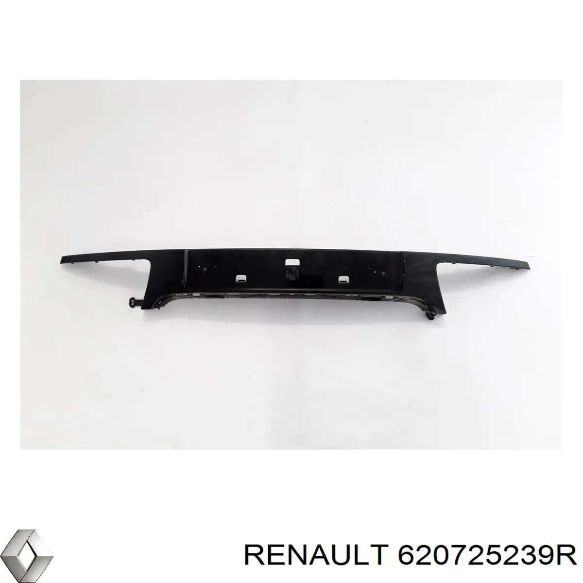 620725239R Renault (RVI) 