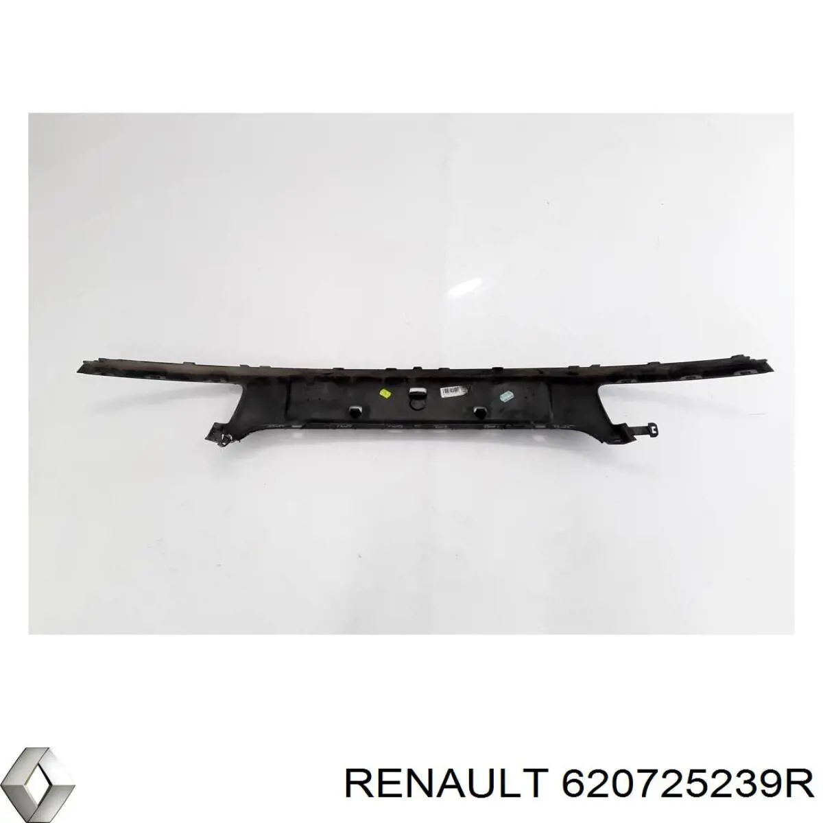  Renault (RVI) 620725239R ціна, від 70.46 USD