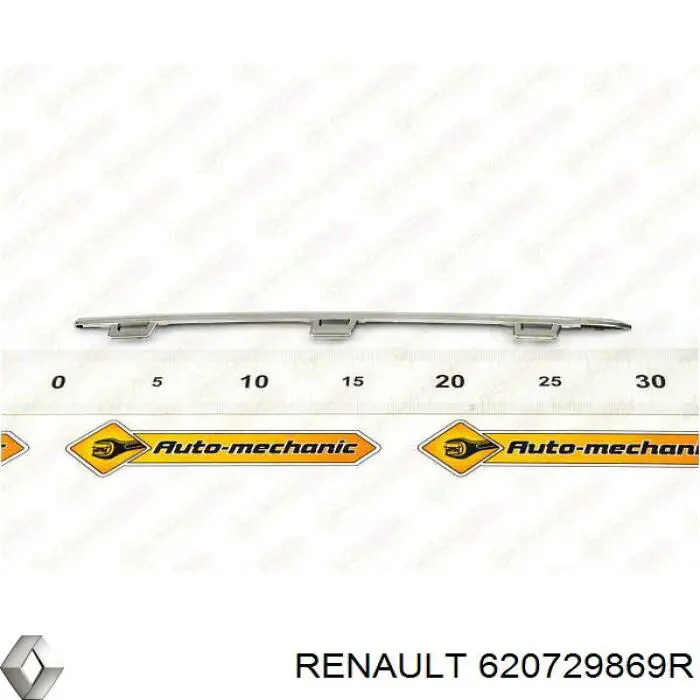 620729869R Renault (RVI) Молдинг решітки радіатора, верхній