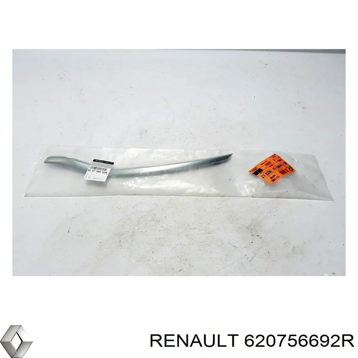 Купити 620756692R Renault (RVI) 